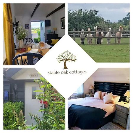 Birch Cottage With Private Wood Fire Hot Tub Harrietsham エクステリア 写真
