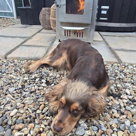 Birch Cottage With Private Wood Fire Hot Tub Harrietsham エクステリア 写真