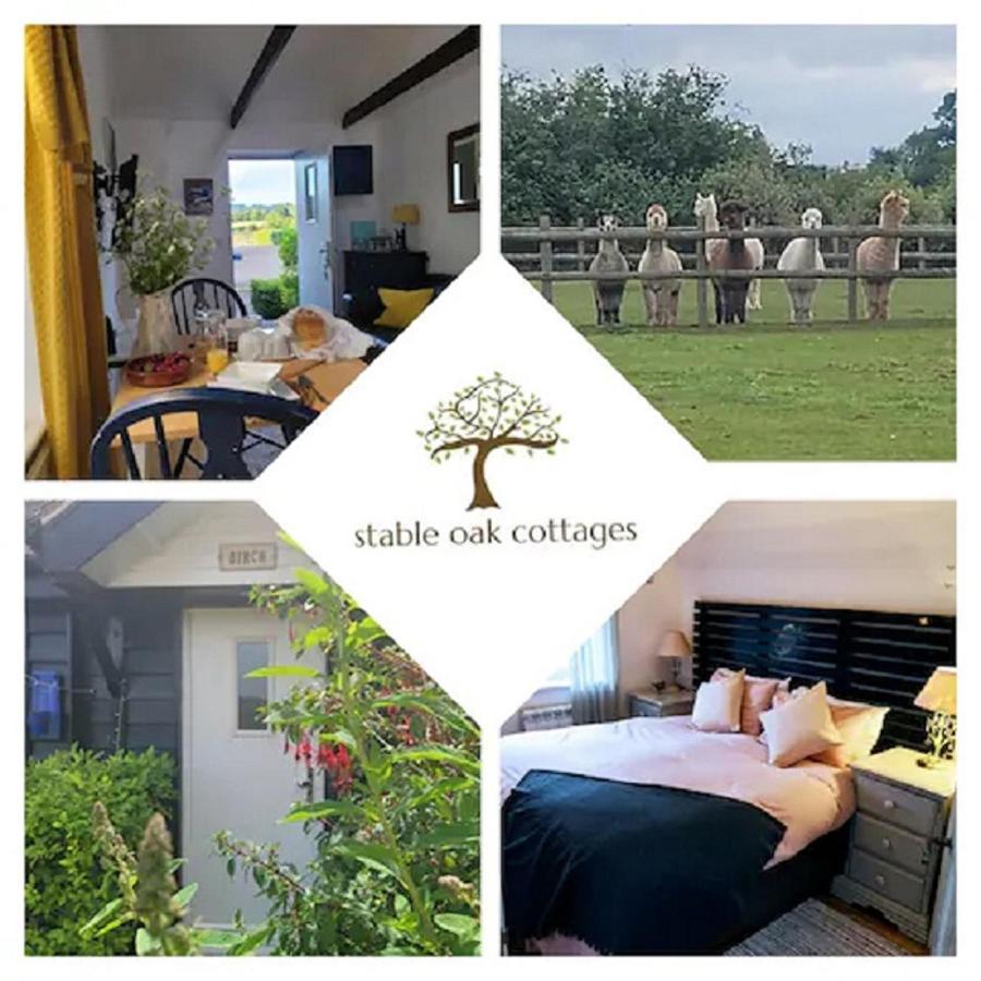 Birch Cottage With Private Wood Fire Hot Tub Harrietsham エクステリア 写真